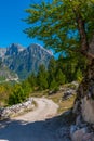 Splendid landscape of Valbona valley in Albania Royalty Free Stock Photo
