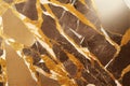 Splendid golden marble abstract background in .