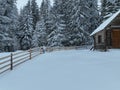 Splendid mountain winter landscape with secluded small wooden alpine cottage among the fir trees fully covered by snow Royalty Free Stock Photo