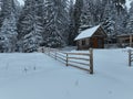 Splendid mountain winter landscape with secluded small wooden alpine cottage among the fir trees fully covered by snow Royalty Free Stock Photo