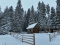 Splendid mountain winter landscape with secluded small wooden alpine cottage among the fir trees fully covered by snow Royalty Free Stock Photo