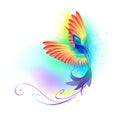 Splendid rainbow hummingbird on white background Royalty Free Stock Photo