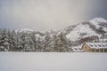 Splendid scenery in winter. Fantastic frosty morning in forest. snow-cowered pine trees under sunlight. Fantastic Royalty Free Stock Photo