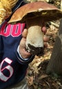 Splendid specimen of Boletus edulis