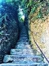 Splendid street and hidden path in Portofino village, Genoa province, Liguria region, Italy Royalty Free Stock Photo