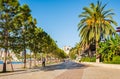 Splendid summer view of alley with palms in Saranda. Attractive morning scene of Albania, Europe. Summer landscape Royalty Free Stock Photo