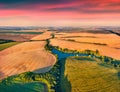 Splendid summer view from flying drone of river in the shape of tree among the field of wheat. Royalty Free Stock Photo