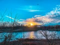 Splendid view of a calm lake near shore.