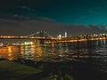 Splendid view of Manhattan and bridge during nighttime.