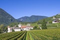 Splendid vineyards of the abbey of novacella with ancient alpine monastery, producer of delicious wines