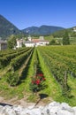 Splendid vineyards of the abbey of novacella with ancient alpine monastery, producer of delicious wines