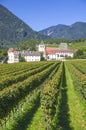 Splendid vineyards of the abbey of novacella with ancient alpine monastery, producer of delicious wines