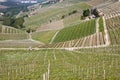 Aerial view of the vineyards of Barbaresco, Piedmont. Royalty Free Stock Photo