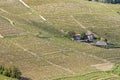 Aerial view of the vineyards of Barbaresco, Piedmont. Royalty Free Stock Photo