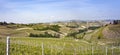 Aerial view of the vineyards of Langhe, Piedmont. Royalty Free Stock Photo