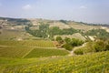 Aerial view of the vineyards of Langhe, Piedmont. Royalty Free Stock Photo