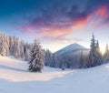 Splendid winter sunset in Carpathian mountains with snow covered