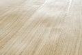 Spliced oak veneer with glue thread closeup Royalty Free Stock Photo