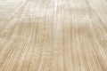 Spliced oak veneer with glue thread closeup Royalty Free Stock Photo