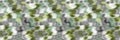 Spliced vector camouflage marl border texture. Variegated mottled ribbon trim. Seamless camo heather pattern. Modern