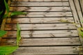 Spliced wooden planks are laid on the ground as architectural decorations in tourist attractions