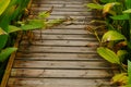 Spliced wooden planks are laid on the ground as architectural decorations in tourist attractions