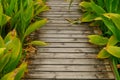 Spliced wooden planks are laid on the ground as architectural decorations in tourist attractions