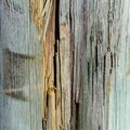 Splintered wood