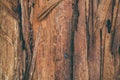 Splintered wood texture and background. Closeup view of splinter wood texture. Abstract texture and background for designers.