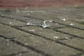 Splinters of glass on paving stones Royalty Free Stock Photo