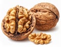 Split Brown Walnut with Shelled Halves on White Background Still Life Royalty Free Stock Photo