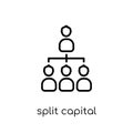 Split capital investment trusts icon. Trendy modern flat linear