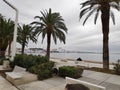 Split city riva Croatia palm trees sea vacation Mediteran relax ships cloudy day