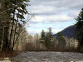 Split in the creek on a sunny day