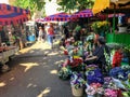 A weekend market during the summer in Split, Croatia. A local elderly woman is selling an array of colourful flowers.