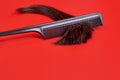 Split ends on the dark-haired man`s hair. a lock of cut hair lies on a red background with a comb comb. Hair in a comb close up Royalty Free Stock Photo