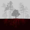 Split illustration with trees and red roots. Fog in forest