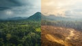 A Split Image of a Lush Forest and a Deforested Area Royalty Free Stock Photo