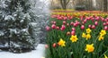 A split-image portrays contrasting seasons: winter and spring. The left side