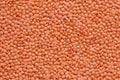 Split Masoor Dal or Lentils  flat closeup Royalty Free Stock Photo