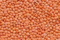 Split Masoor Dal or Lentils  flat closeup Royalty Free Stock Photo