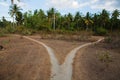 A split path behind palm trees ,Nusa Penida, Indonesia