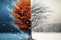 Split Photo of Tree in Snow, Winter Landscape With Divided Tree Trunk and Snowy Background, Design an abstract image depicting the