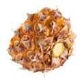 Split Pineapple Fruit isolated on a white background Royalty Free Stock Photo