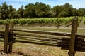 Split-rail fence and grapevines Royalty Free Stock Photo