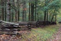 Split rail fence view from side with forest behind on a wet fall day