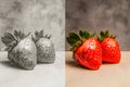 Split screen, simple hand draw sketch of strawberry on grey background