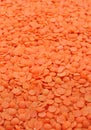 Split seeds of red lentil