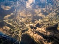 Split-toned underwater view of sunken trees