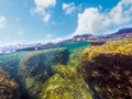 Split underwater view of seaweeds and rocks in Sardinia sea floor